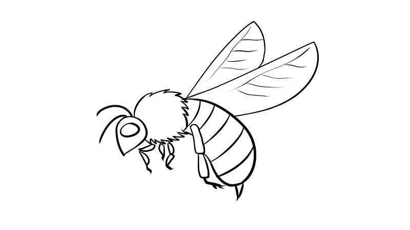 蜜蜂黑白简笔画图片
