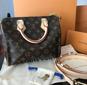 Louis Vuitton 老花 Speedy 25 手袋